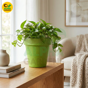 Textured Premium Plastic Planter Pot light Green for Indoor Plants