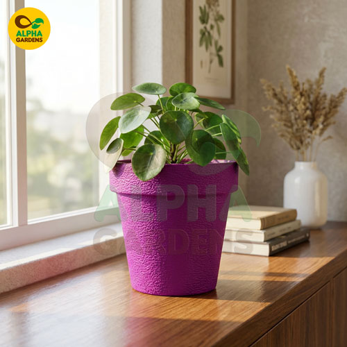 textured-premium-plastic-planter-pot-pink-for-indoor-plants