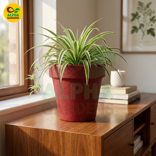 textured-premium-plastic-planter-pot-red-for-indoor-plants