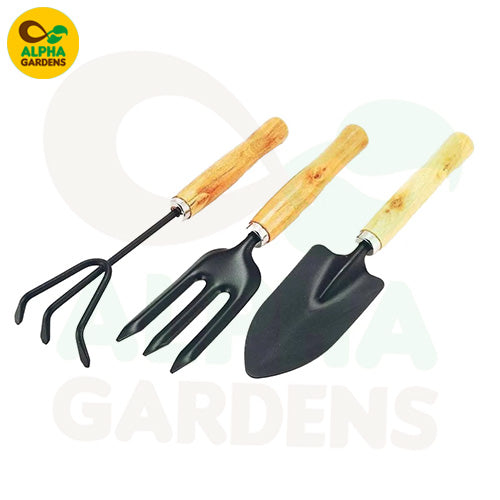 premium-beginners-deal