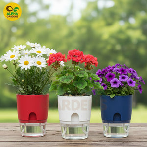 Self Watering Plant Pot 