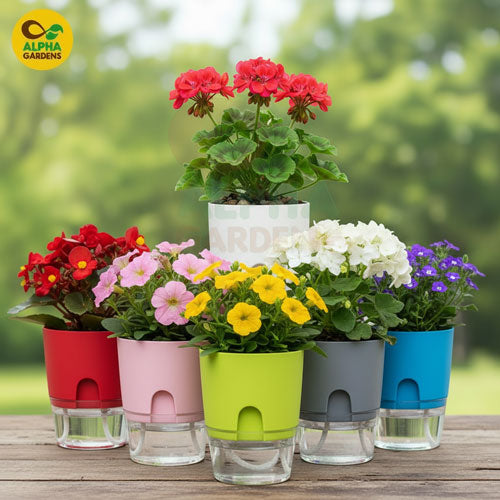 white-self-watering-plant-pot