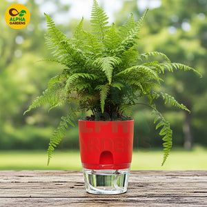 red  Self Watering Plant Pot 