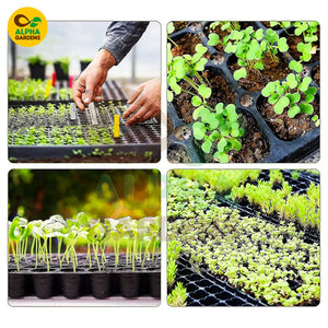 Collage of seedling growth stages with Alpha Gardens logo.