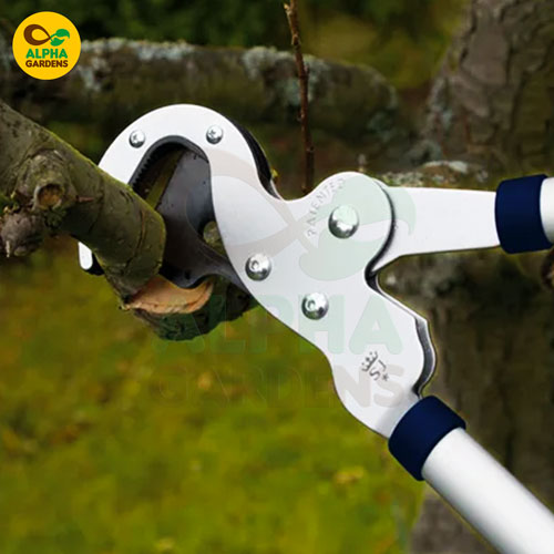 gardening-pruner