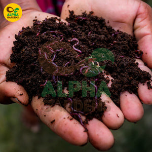 Hands holding soil with visible worms, branded 'Alpha Gardens'.