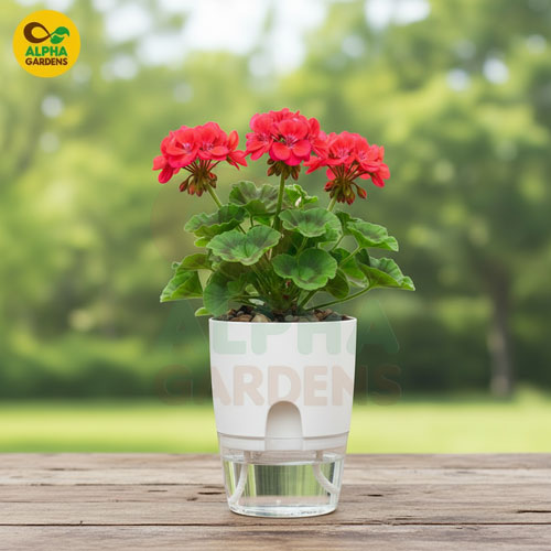 white-self-watering-plant-pot