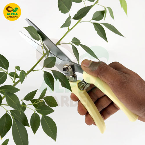 wss-long-blade-garden-cutter-4-inch